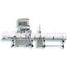 Filling Machine > Six-Nozzles High/Low Viscosity Auto Set Filling / Cappping Machine  BS-012