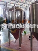 500L beer fermenter equipment-SANITT EQUIPMENTS AND MACHINES PVT LTD