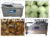 Vaccum Packing Machine-Whirlston Food Processing Machine