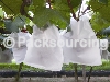 FRUIT BAG / AGRICULTURAL MATERIALS > Grape Fruit Bag- WelsonLi Co., Ltd
